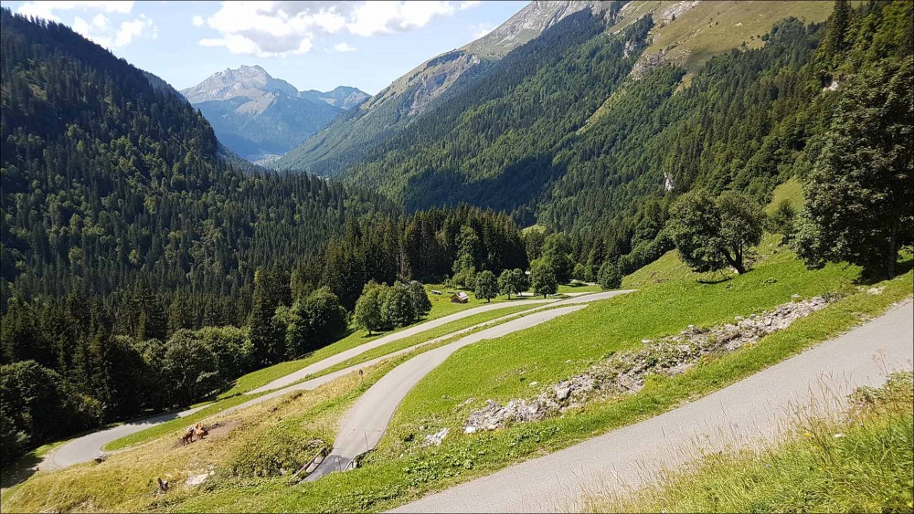 E-bikes - exhilaration without the exhaustion!